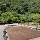 파주 초리포레스트 - 자연 속 힐링 캠핑장