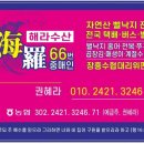 ６６번중매인 이미지