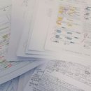 (주)브레인움 | 블로그 개설 축 5주년 회고 🍀