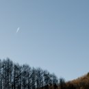 당골2 이미지