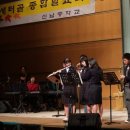 새터골 Daum카페