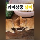 상궁농장 이미지