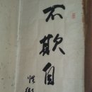 도반 이미지