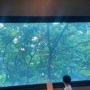 아디스브라운 | [당진카페 추천] 아디스브라운, 아이와 가기 좋은 감성 브런치 카페