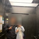 모니카수선 | 임산부 임부복 쇼핑 지그재그 추천 🛍️매니크, 루시드라잇 리뷰 #내돈내산