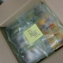 코코&꿀돼지 | [몰아쓰는 애정수신] 애증의 포키