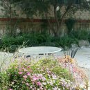 숲속에 우산정원 이미지