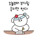 정자대게맛집