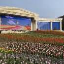 송이유치원 | [2026 에버랜드 튤립축제] 120만 송이 꽃의 향연, '마이 스프링 팔레트' 방문 찐 후기!