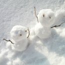 대지(大地)의 꿈 이미지