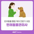 슬기로운 반려생활(관리사 자격 대비) | 반려동물전문가 교육자격증 추천, 반려동물관리사 취득기관 국민평생교육원(국민평생학습센터)