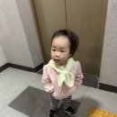 현대양말