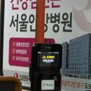 관동마을회관 | 3월 매화축제, 쫓비산 등산코스, 전남 광양매화마을, 알레(Alle) 등산, 봄의 시작 매화 꽃, 광양 매화마을