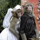 바디채널 삼계점 이미지