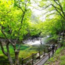 구천동주유소 이미지