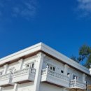 써니터틀 이미지