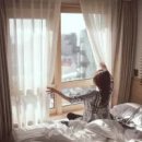 스테이 위드 세화 | 호텔 케니 서귀포 (호텔)(대한민국)(서귀포) 특가_외 추천 인기숙소