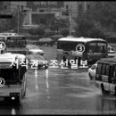 아진디젤 이미지