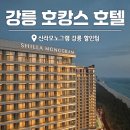 신라모텔 | 강릉신라모노그램 호텔 레지던스 차이 수영장 후기 강릉 호캉스