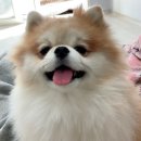 홍스비어 - 광산구 | 홍스비어