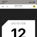 소노펠리체 델피노 이미지