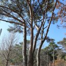 백운사 경내 이미지