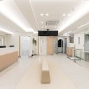 맑은세상 임준석 동물병원 | 동암역동물병원이 알려드리는 강아지 눈곱 이야기 건성각결막염을 의심해보세요.