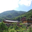 삼화사 Daum카페