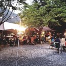 영월캠프 이미지