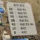 곱창이야기 대구월성점 대구 달서구 월성동 육회 맛집