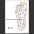 바른수영 이미지