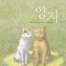 양지바른 이미지