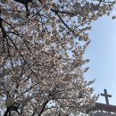 세연목장 이미지