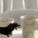 애니멀하우스 이미지