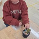 수창초교 병설유치원 이미지