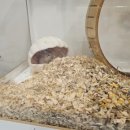 인생막창 이미지