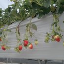 세은농장 이미지