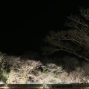 [제주] 에코랜드 호텔 겨울 온수풀 수영장 후기 , 3인 예약 주의 사항