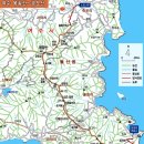 ****여수돌산 금오산(320m) 야생화탐사+화태도 일주트래킹****26년 3월11일(수)07시30분(운동장1문) 이미지