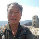 논실 이미지
