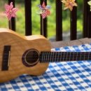 너와나 우쿨렐레 앙상블 이미지