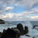 불루민박 이미지