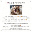 희샵