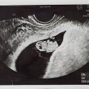 이랜드평촌프라자 이미지