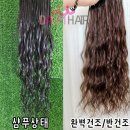 다옴1989