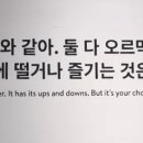 해리하다 이미지