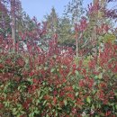 산울펜션 이미지