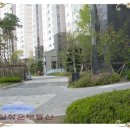 잠신초등학교 이미지