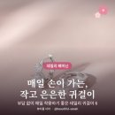 미니골드진주점 | 귀걸이 추천 매일 착용하기 좋은 데일리 6가지 ｜ 실버925·미니후프·진주·큐빅