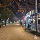 동대구역 관광안내소 | [대구 수성구] 수성못 유원지 - 전 견종 가능 · 맹견 입마개 · 목줄 착용 · 배변봉투 지참